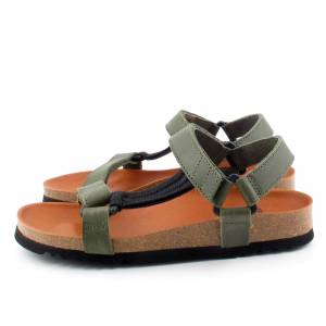 57162 Scholl