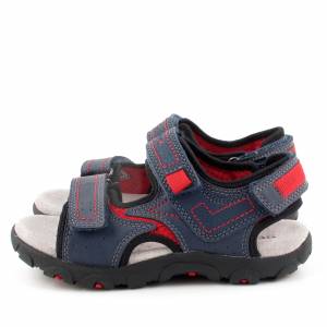 62200 Geox