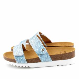 62978 Scholl