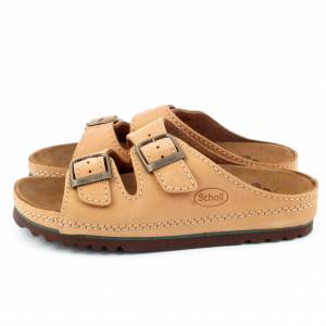 42714 Scholl