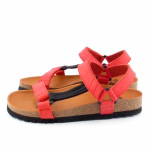 51580 Scholl