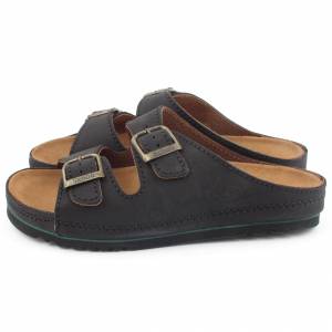 4672 Scholl