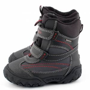 29315 Geox