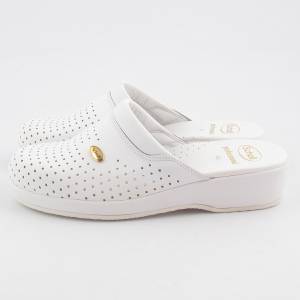 12591 Scholl