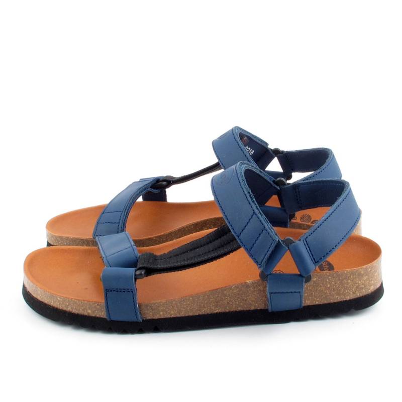 51558 Scholl