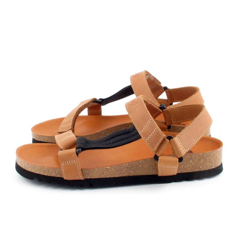 51602 Scholl
