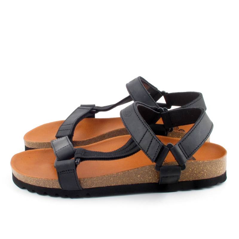 51595 Scholl
