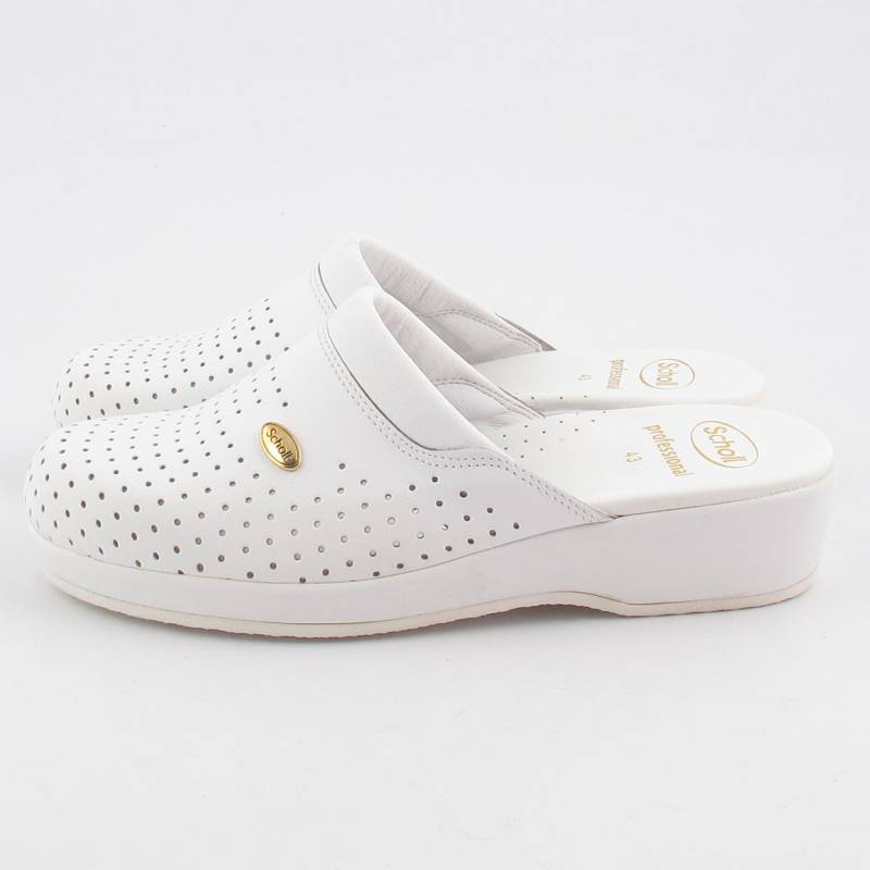 12591 Scholl