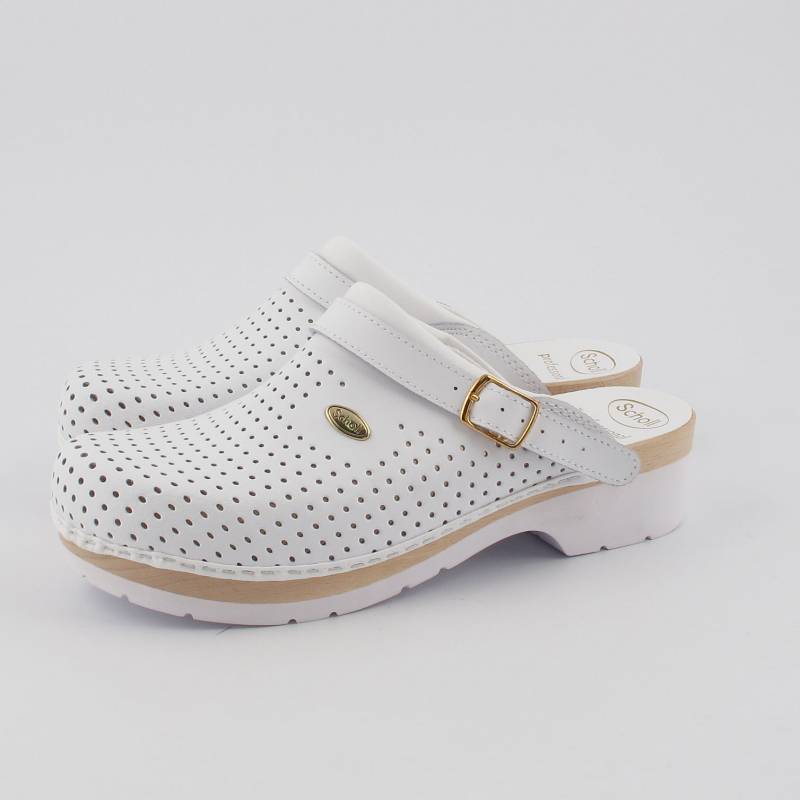 8728 Scholl