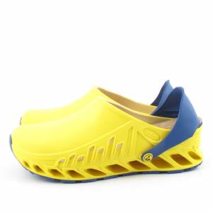 71040 Scholl