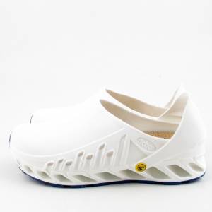 71027 Scholl