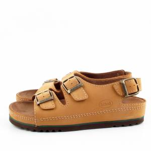 72254 Scholl