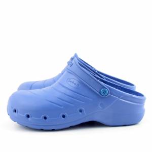 75822 Scholl