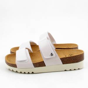 51526 Scholl