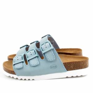 81772 Scholl