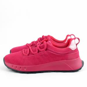 81613 T.Sokolski