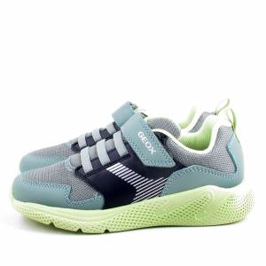 81848 Geox