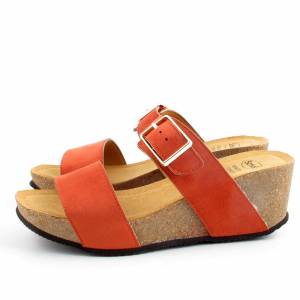 82937 Scholl