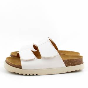 83089 Scholl