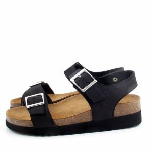 83099 Scholl