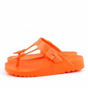 83175 Scholl