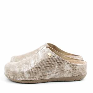 84332 Scholl