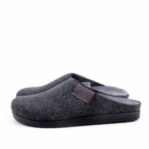 84562 Scholl