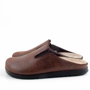 87456 Scholl