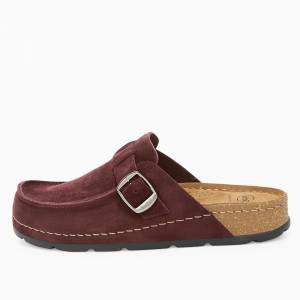 87406 Scholl