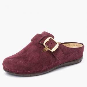 87411 Scholl