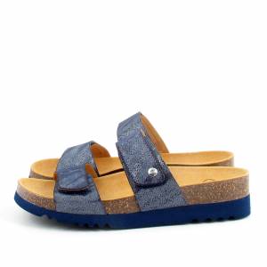 82546 Scholl