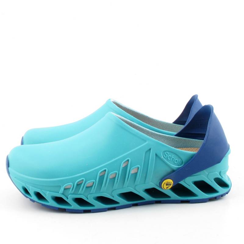 71046 Scholl