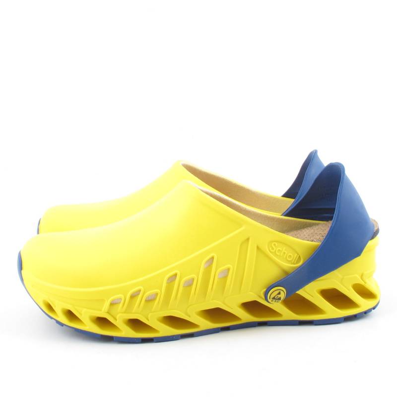 71040 Scholl