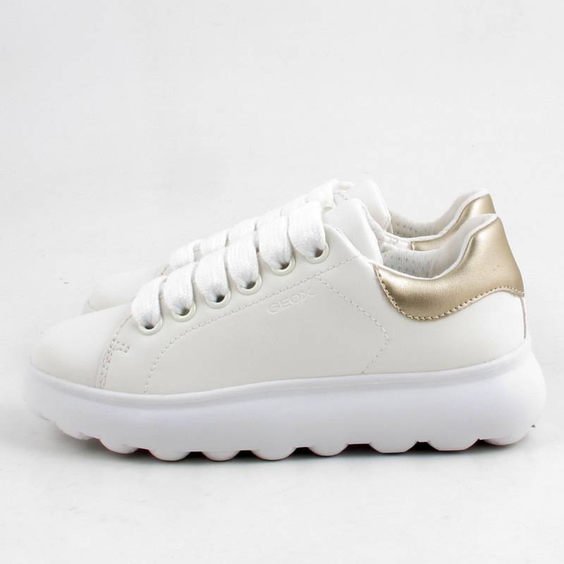 81302 Geox