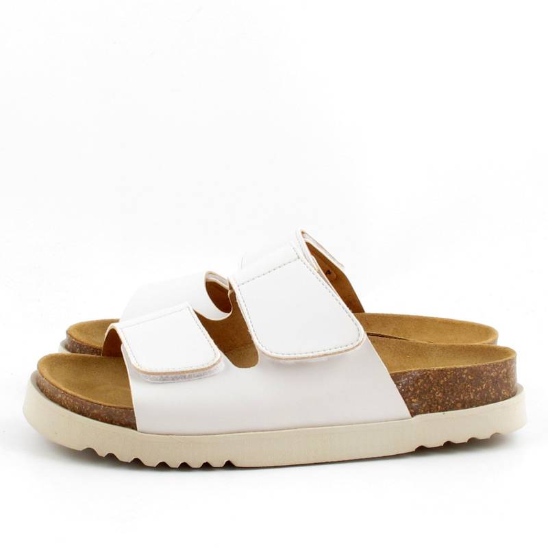 83089 Scholl