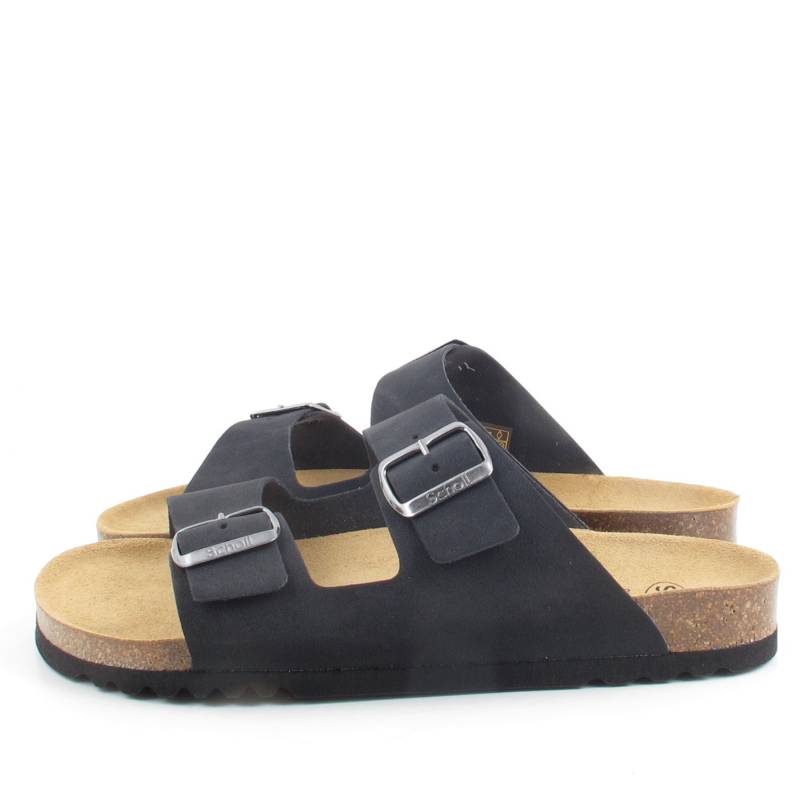 83125 Scholl