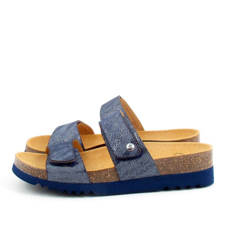 82546 Scholl